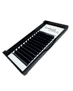 The Bold Classic Lash Trays